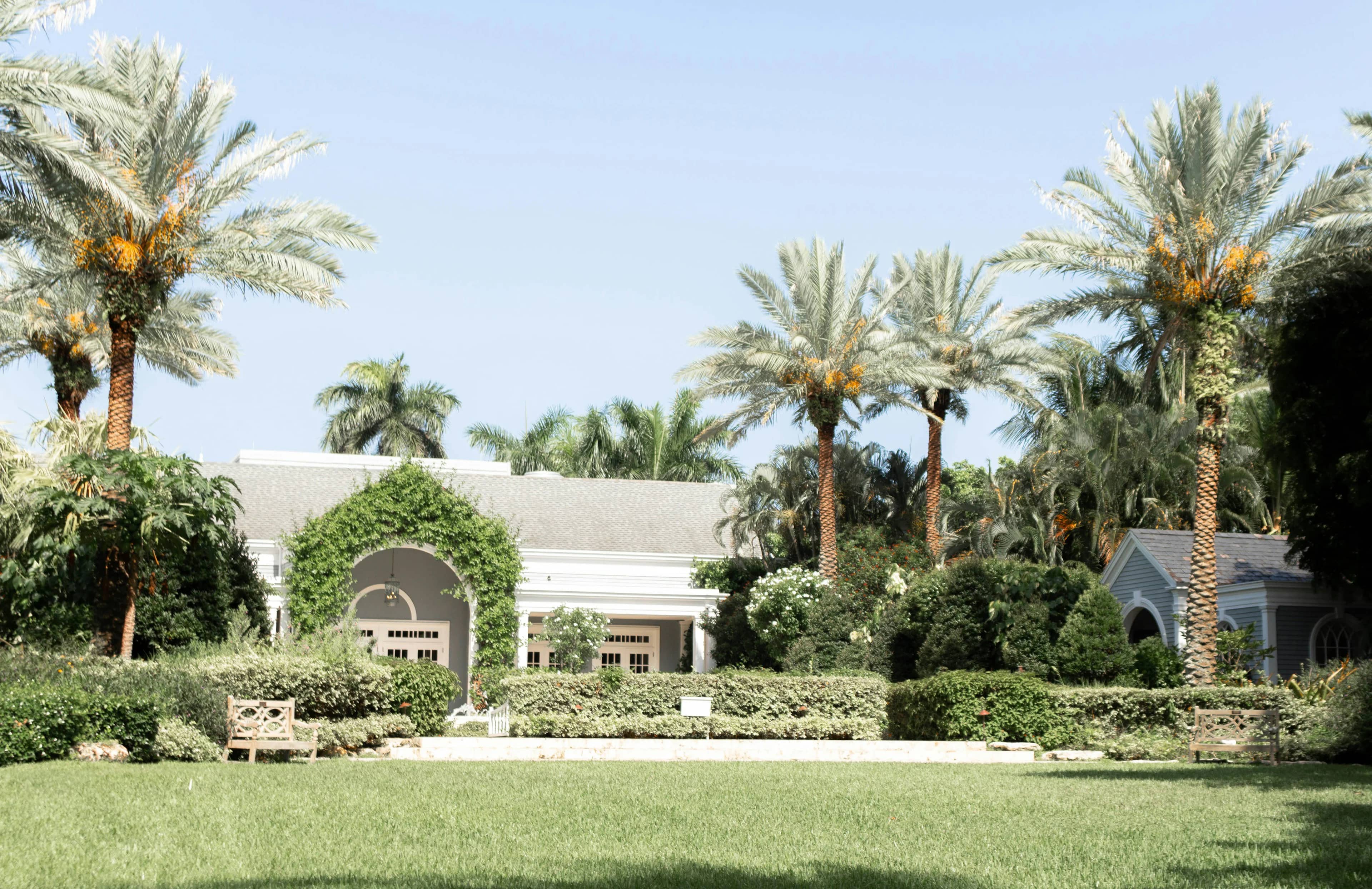 Single-story home behind lawns and tall palm trees